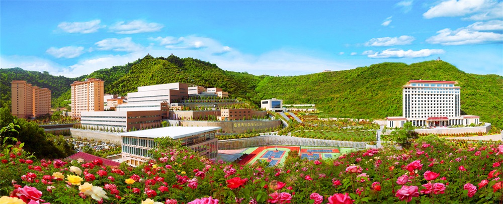 三季有花、四季常青的金徽股份.jpg