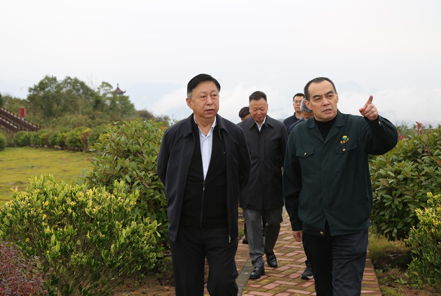 19-2021年10月，原國土資源部副部長汪民蒞臨公司調(diào)研。.jpg