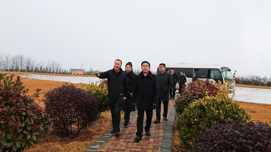45-2020年12月，省高級人民法院黨組成員、副院長任建國蒞臨金徽股份調(diào)研知識產(chǎn)權(quán)司法保護(hù)工作。.jpg